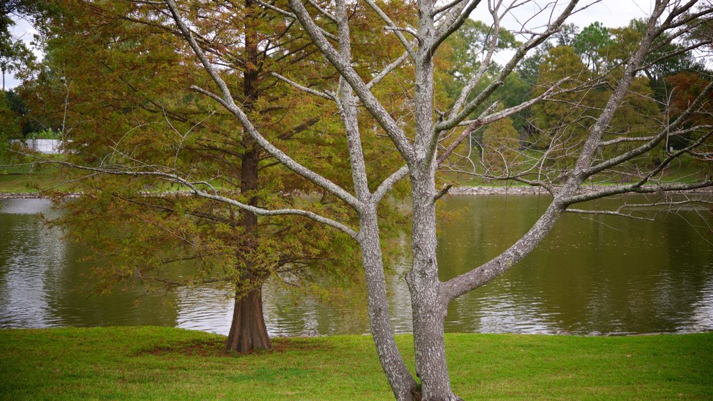 Arsenal Park showing a pond and a park