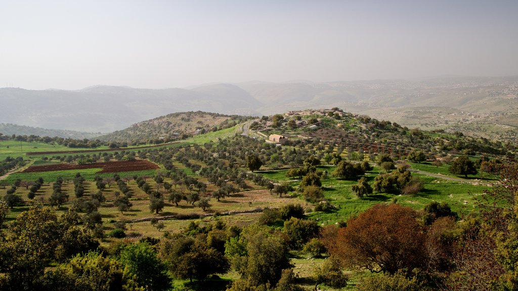 Tell Mar Elias showing landscape views and tranquil scenes