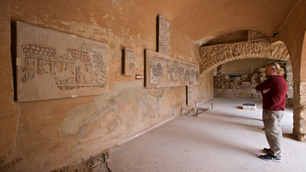 Site archéologique de Madaba mettant en vedette art et éléments du patrimoine aussi bien que un homme seul