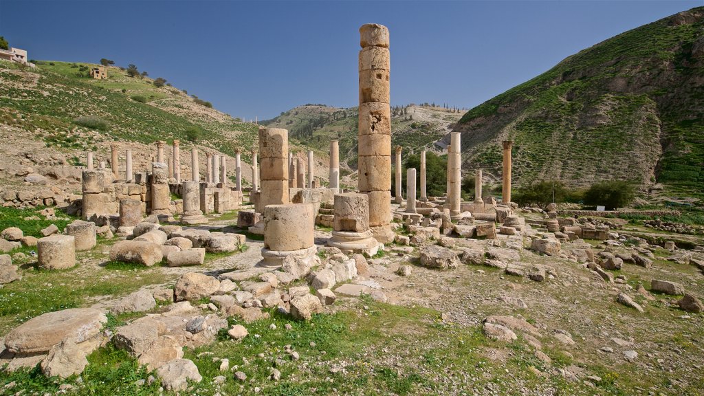 Museo Pella que incluye patrimonio de arquitectura, ruinas de edificios y escenas tranquilas