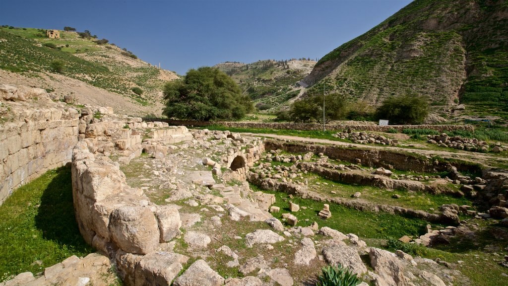 Museo Pella mostrando elementos del patrimonio y ruinas de edificios