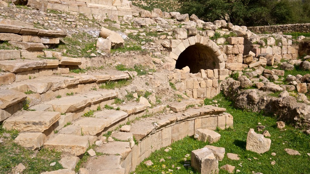 Pella Museum showing building ruins and heritage elements