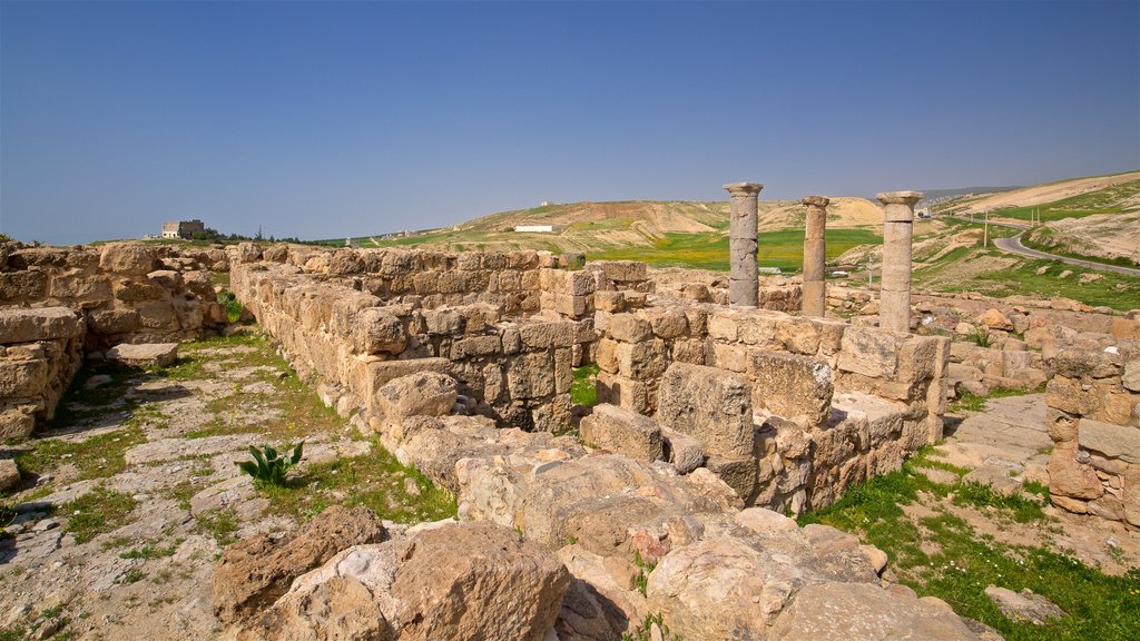 Museo Pella que incluye ruinas de edificios, elementos del patrimonio y vistas de paisajes