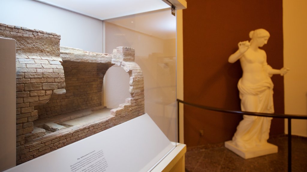 Caesarea Ralli Museum showing interior views