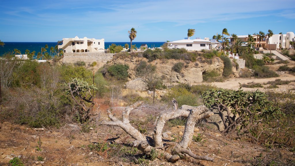 Buenavista showing general coastal views