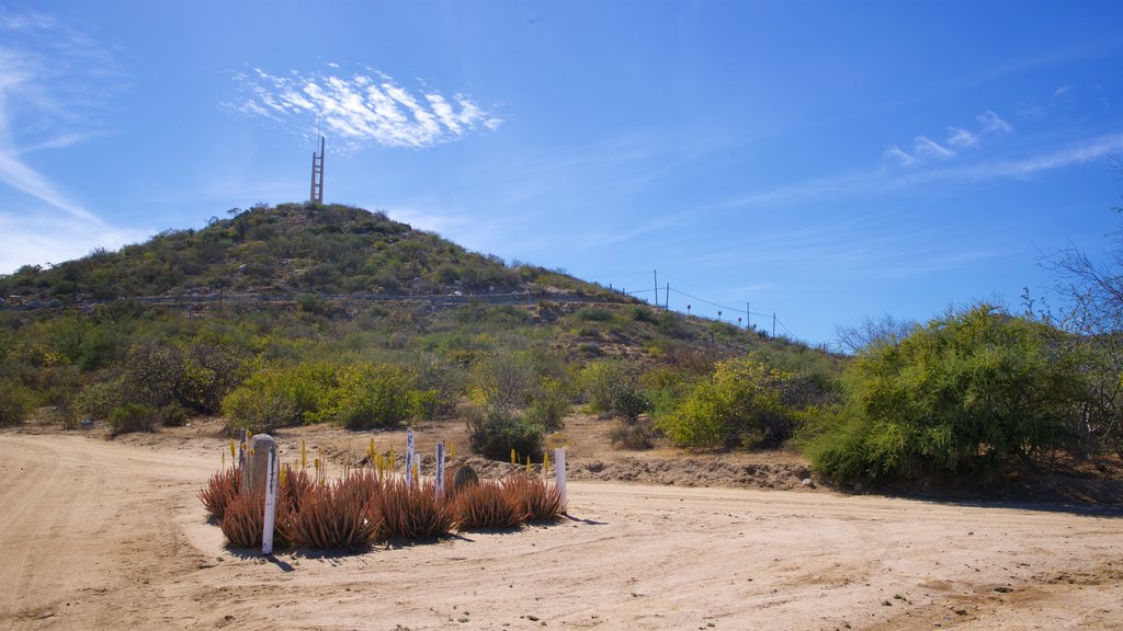 Buenavista which includes a sandy beach and tranquil scenes