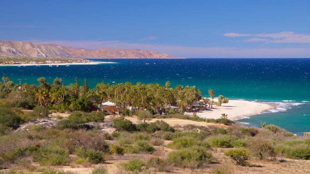 Los Barriles showing general coastal views and landscape views