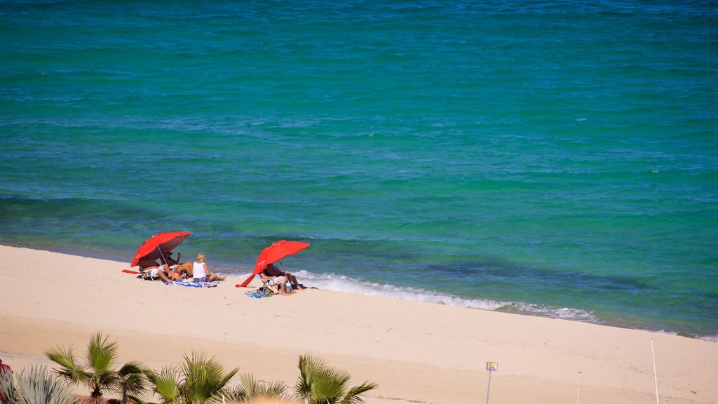 Los Barriles que incluye vista general a la costa y una playa de arena y también una familia