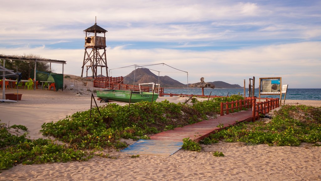 Playa Los Arbolitos ofreciendo una playa y vistas generales de la costa