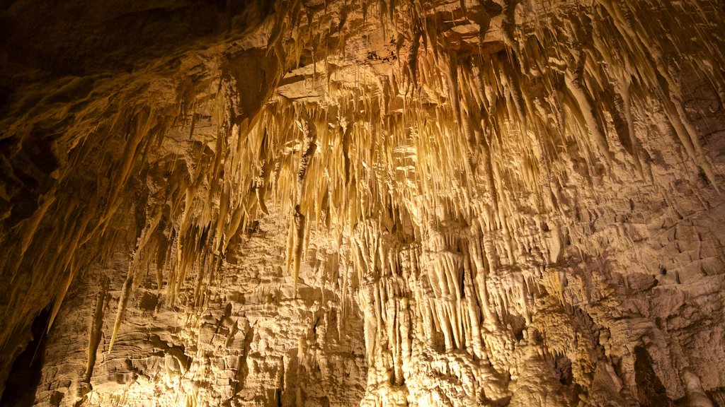 Waitomo Caves toont grotten