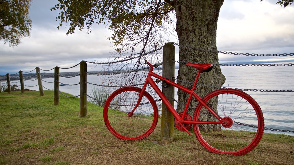 Waikato which includes a garden and general coastal views