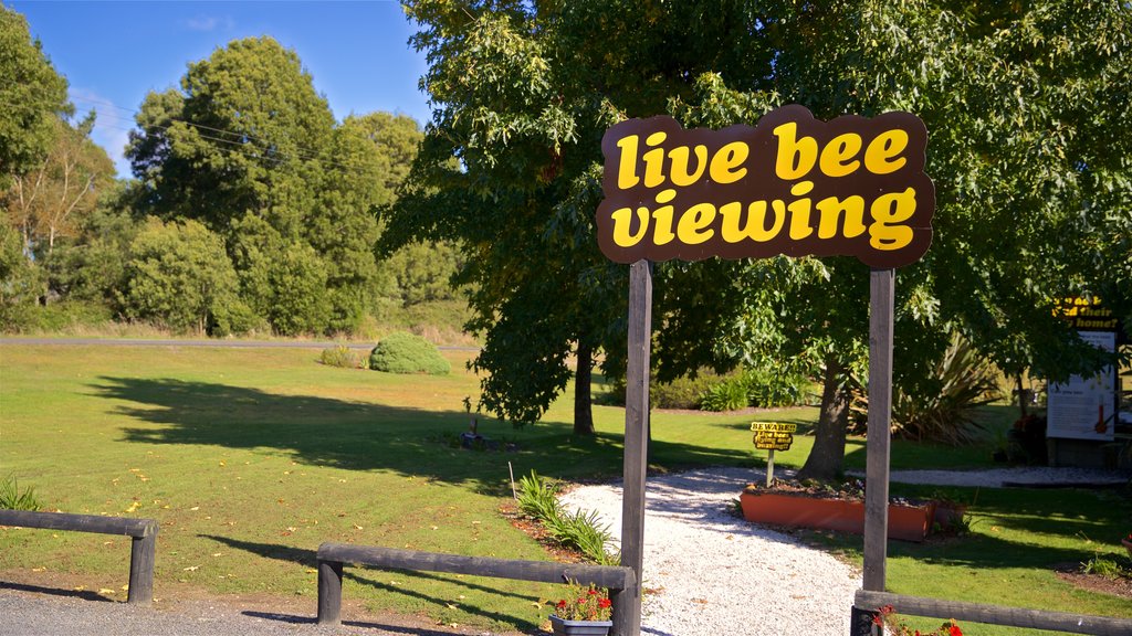 Waikato showing signage and a park