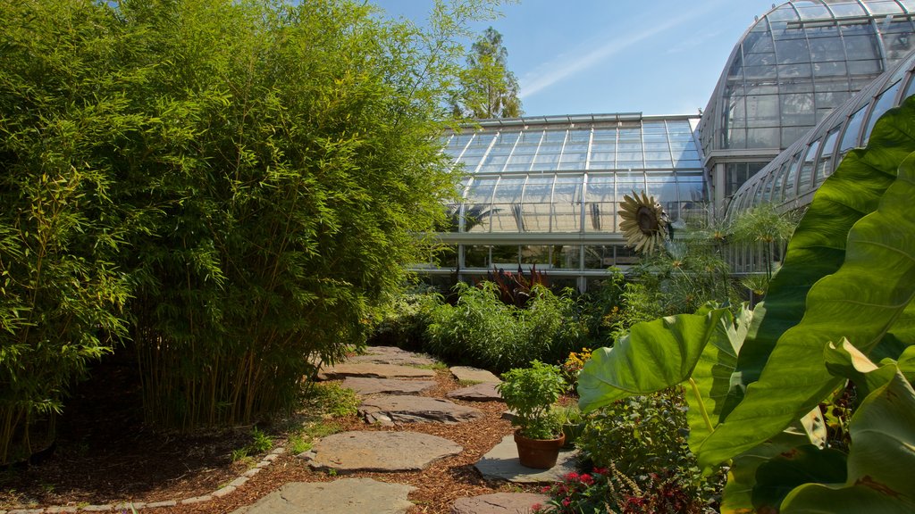 United States Botanic Garden som viser en have