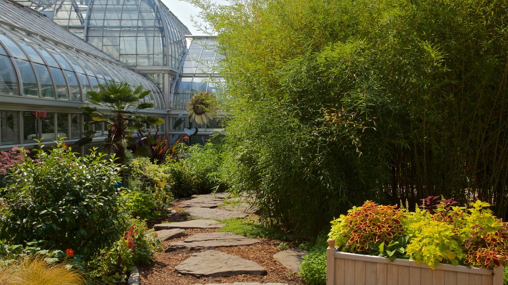 United States Botanic Garden showing a garden