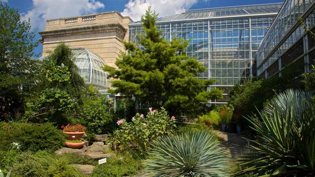 Botanische tuin van de Verenigde Staten toont wilde bloemen en een tuin