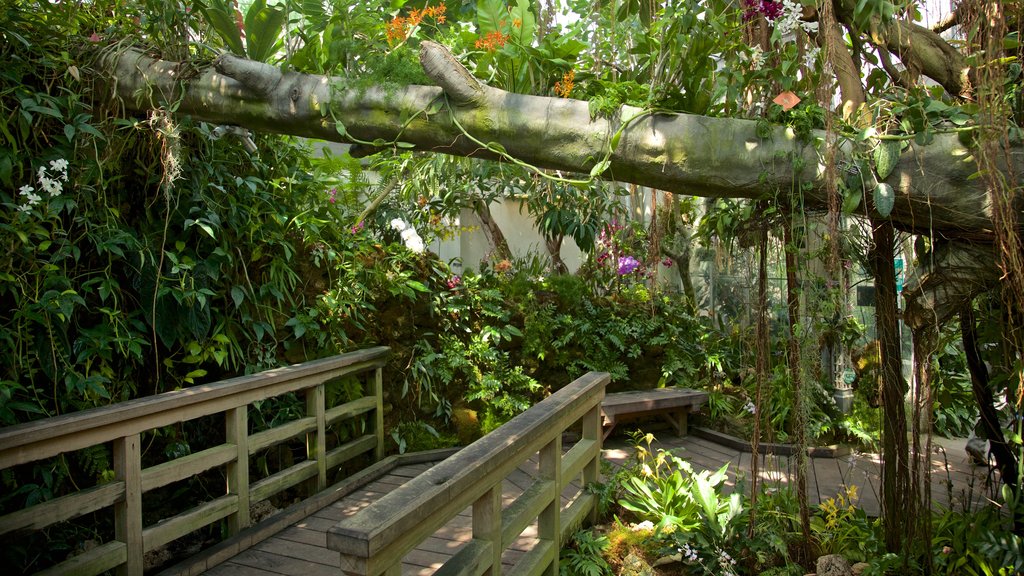 Jardín Botánico de los Estados Unidos ofreciendo jardín