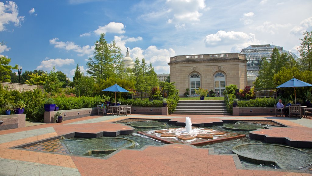 United States Botanic Garden qui includes une fontaine