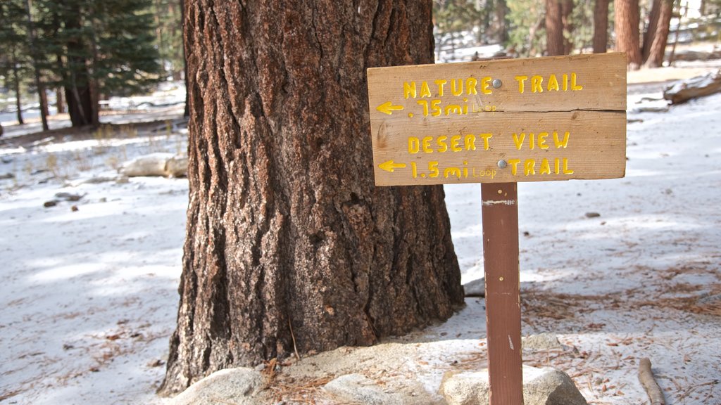 Parque estatal Mount San Jacinto mostrando nieve, bosques y señalización