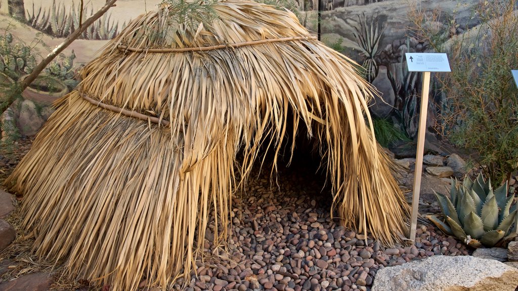 Agua Caliente Cultural Museum