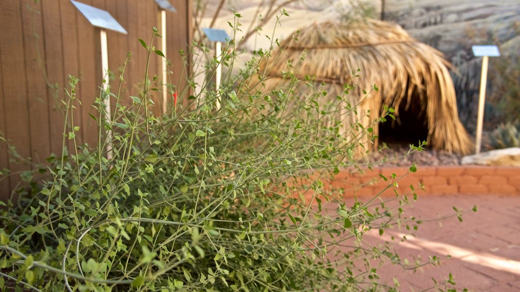 Museum Budaya Agua Caliente