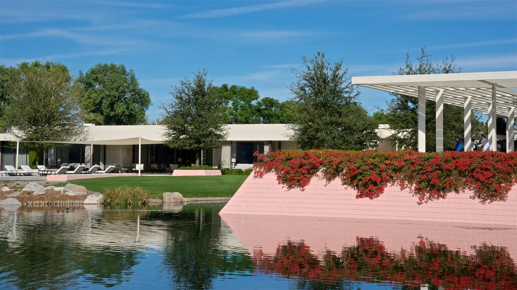 Centro Sunnylands y jardines mostrando flores silvestres y un lago o espejo de agua