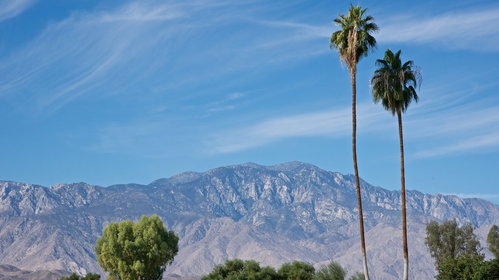 Sunnylands Center and Gardens som omfatter udsigt over landskaber og bjerge