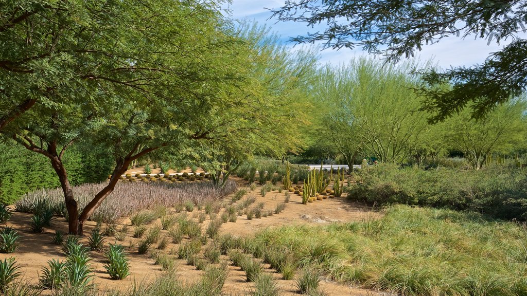 Sunnylands Center and Gardens som inkluderer hage