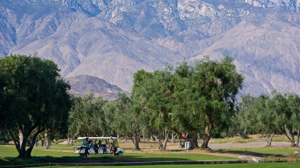 Sunnylands Center and Gardens featuring landscape views and golf as well as a small group of people