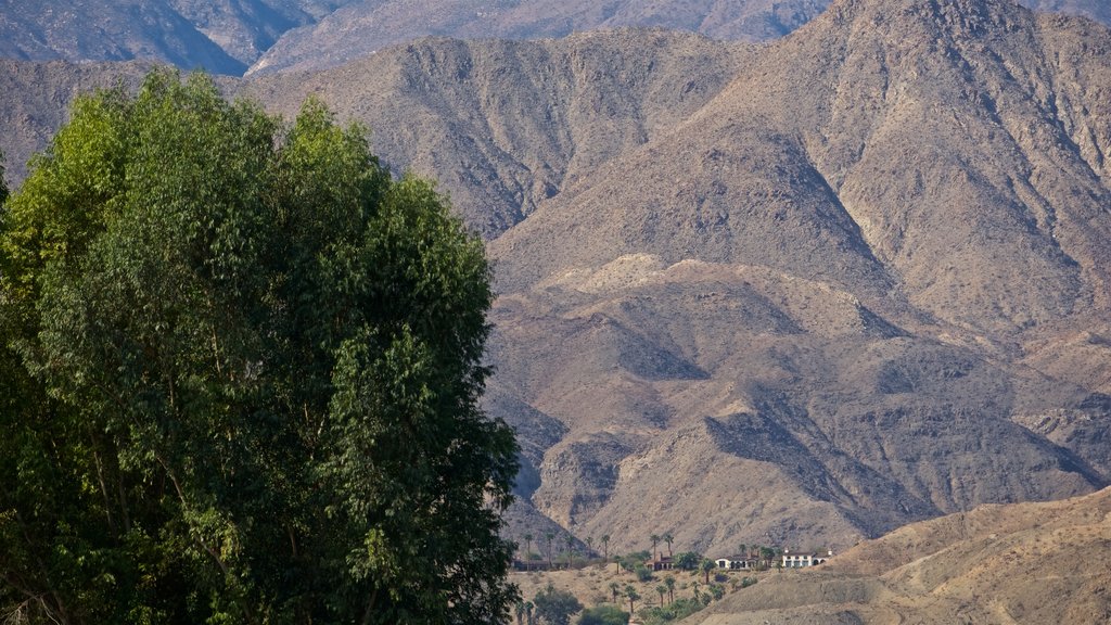 Centre et jardins de Sunnylands mettant en vedette montagnes