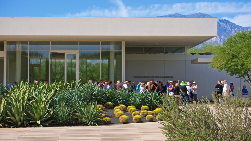 Sunnylands Center and Gardens fasiliteter samt park i tillegg til en liten gruppe med mennesker