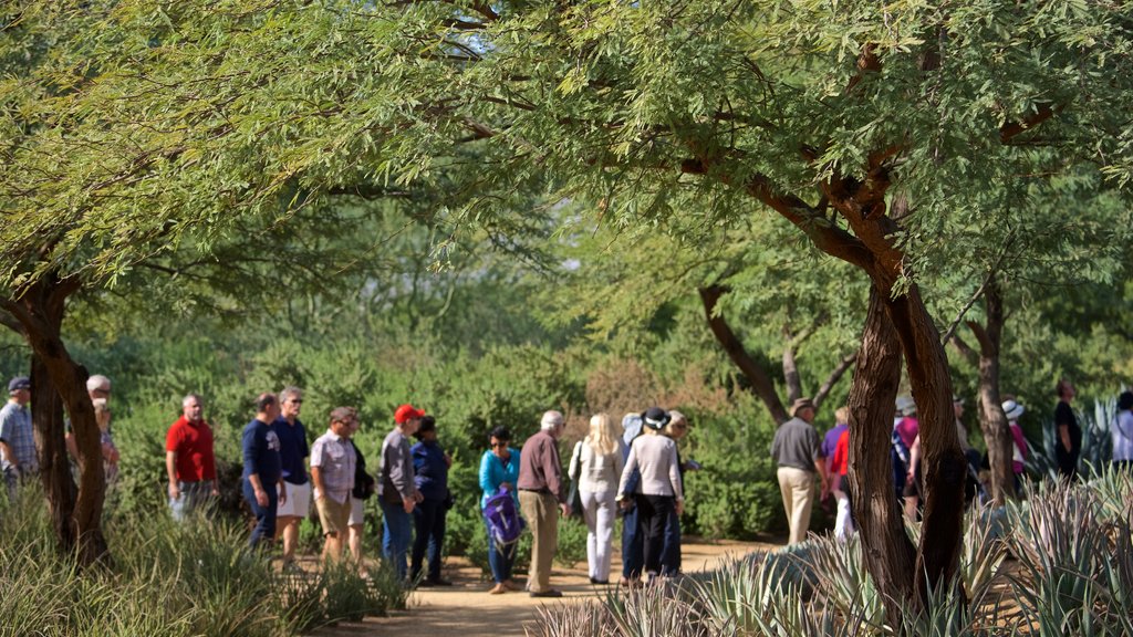 Sunnylands Center and Gardens showing a garden as well as a small group of people