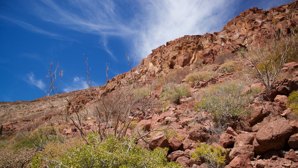 Isla Espiritu Santo which includes tranquil scenes