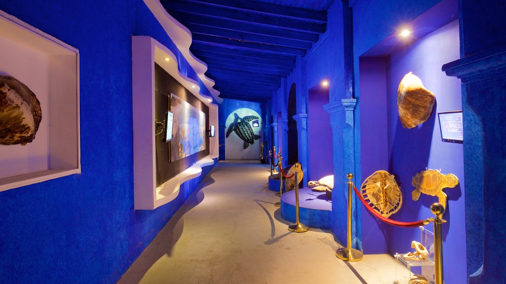 Museo de las Ballenas que incluye vistas interiores