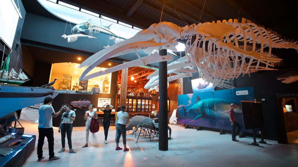 Whale Museum showing interior views as well as a small group of people