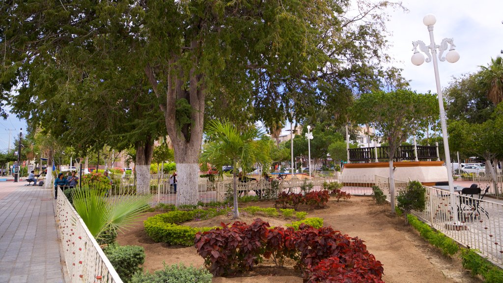 Plaza de la Constitución inclusief een park