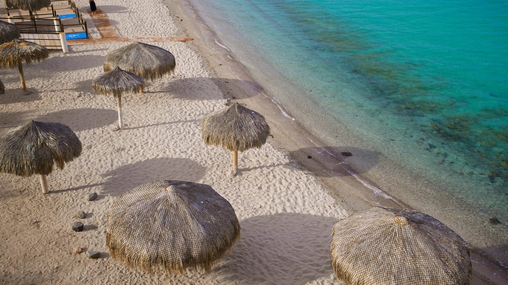 Playa El Coromuel que incluye una playa, escenas tropicales y vista general a la costa