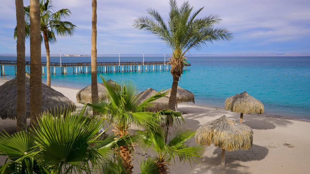 Playa El Coromuel ofreciendo una playa de arena, escenas tropicales y vistas generales de la costa