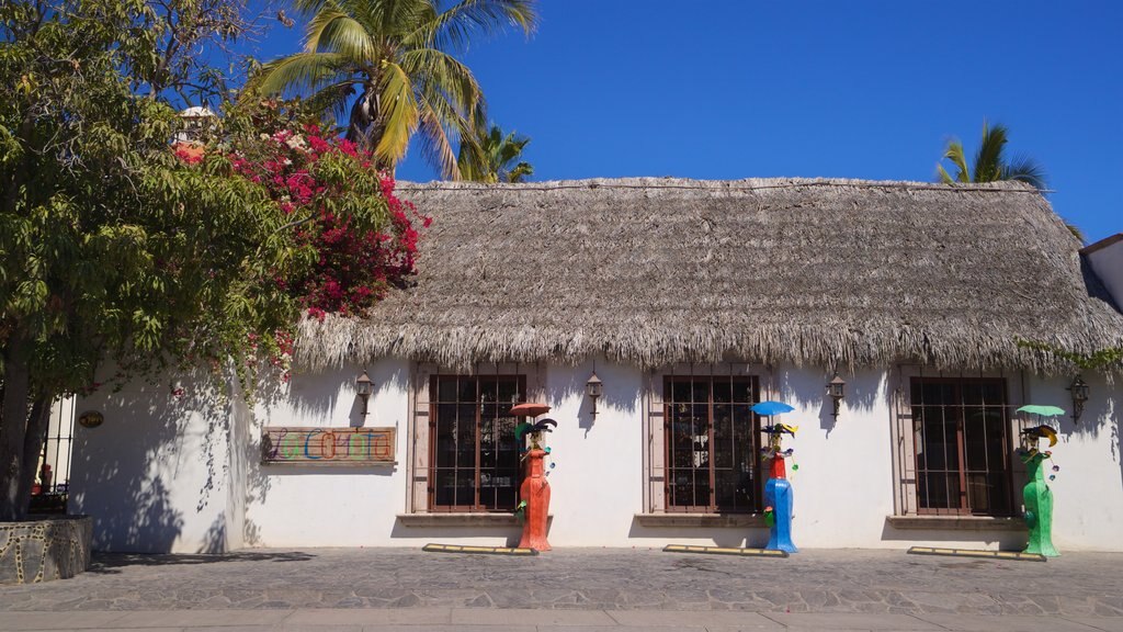 Cabo San Lucas mostrando uma casa