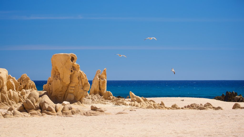 Playa Las Viudas which includes a sandy beach and general coastal views