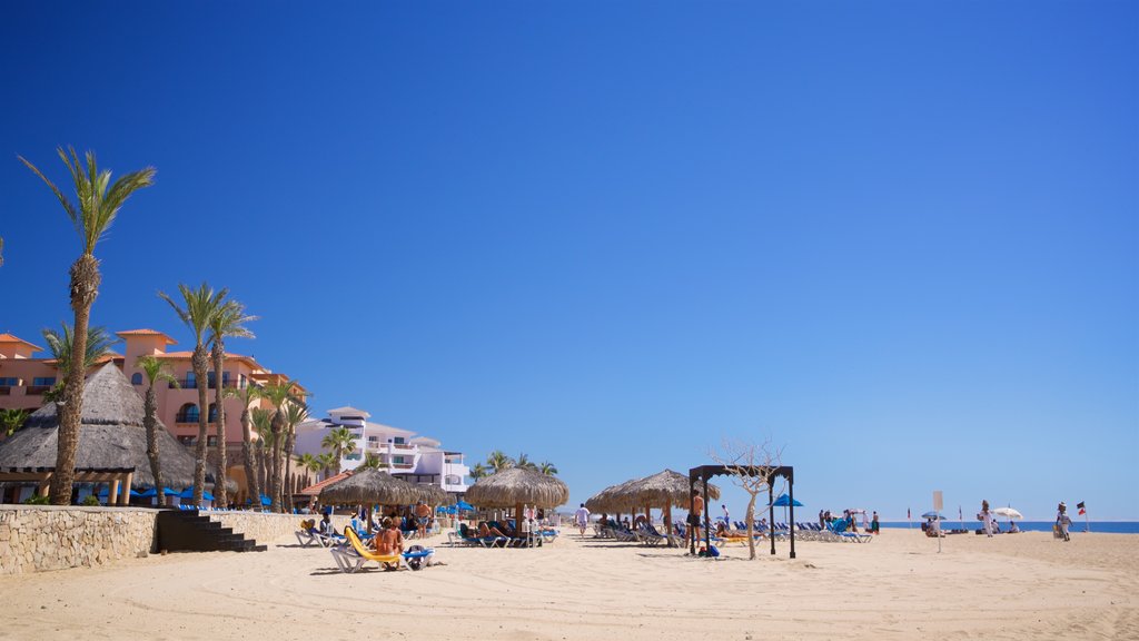 Playa Hotelera mostrando uma praia de areia, cenas tropicais e paisagens litorâneas