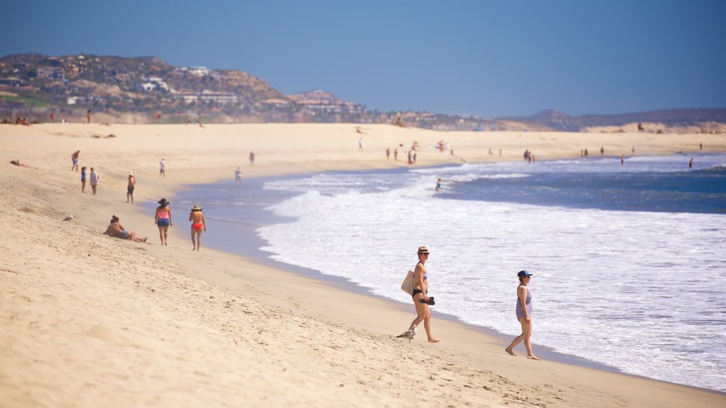 Playa Hotelera montrant une plage de sable et paysages côtiers aussi bien que un couple