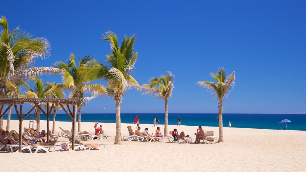 Playa Hotelera que incluye una playa, vistas generales de la costa y escenas tropicales