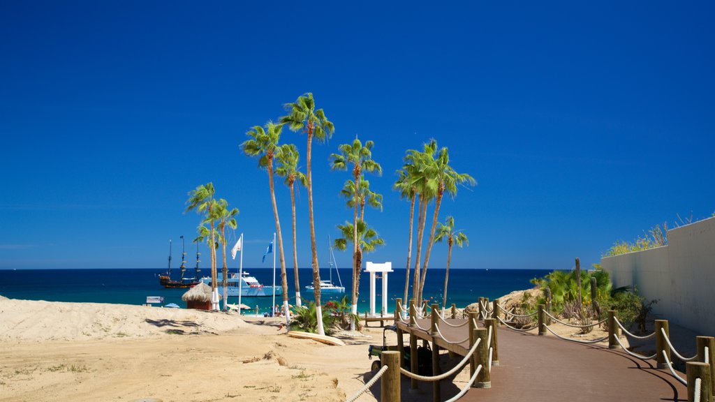 Playa Chileno ofreciendo escenas tropicales, vista general a la costa y una playa de arena