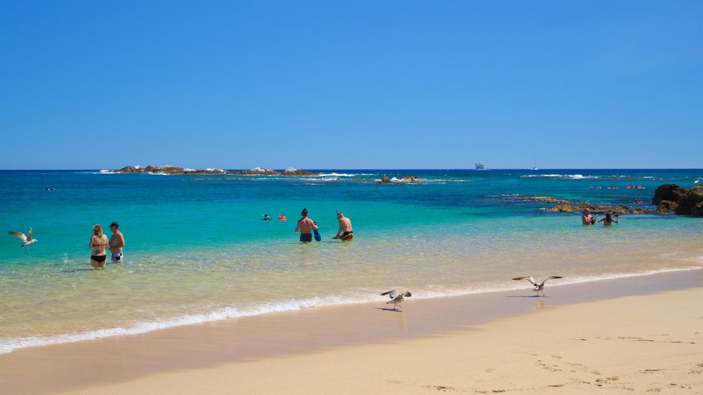 Chileno Beach which includes a beach, general coastal views and swimming