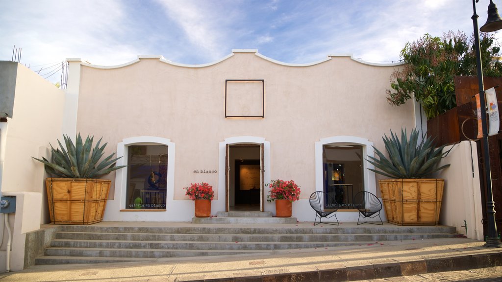 Künstlerviertel von San José del Cabo mit einem Blumen