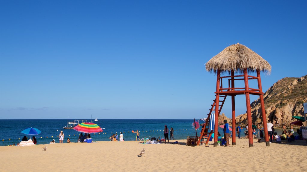 Playa de Cannery que inclui paisagens litorâneas e uma praia de areia assim como um pequeno grupo de pessoas