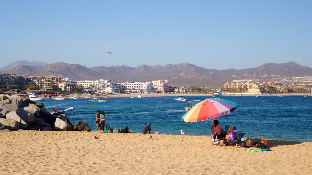 Playa de Cannery caracterizando uma praia de areia e paisagens litorâneas assim como um pequeno grupo de pessoas