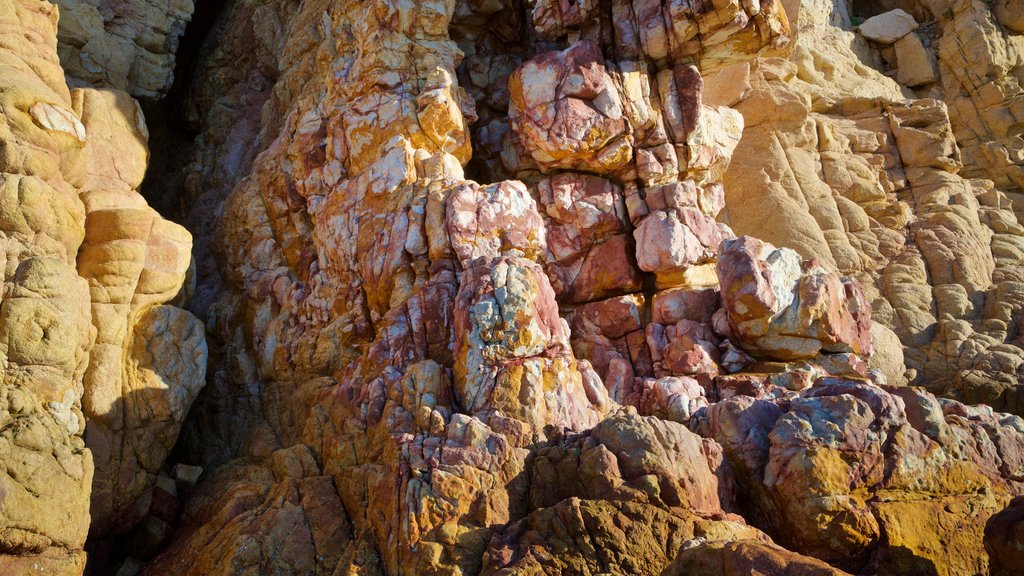 Playa de Cannery que inclui litoral rochoso