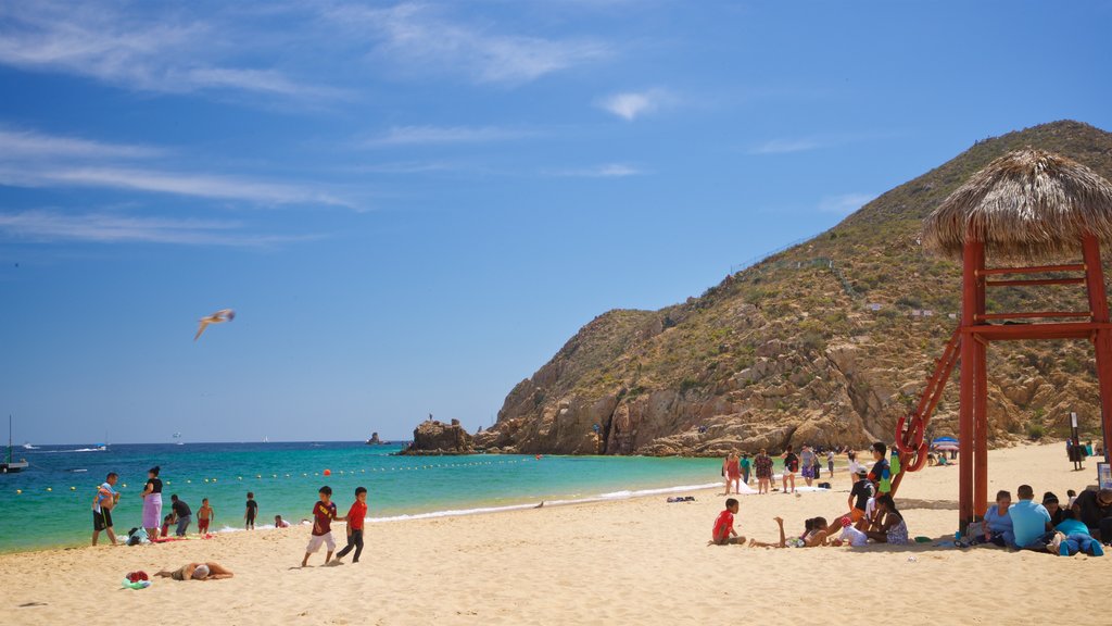 Playa de Cannery caracterizando paisagens litorâneas e uma praia assim como um pequeno grupo de pessoas