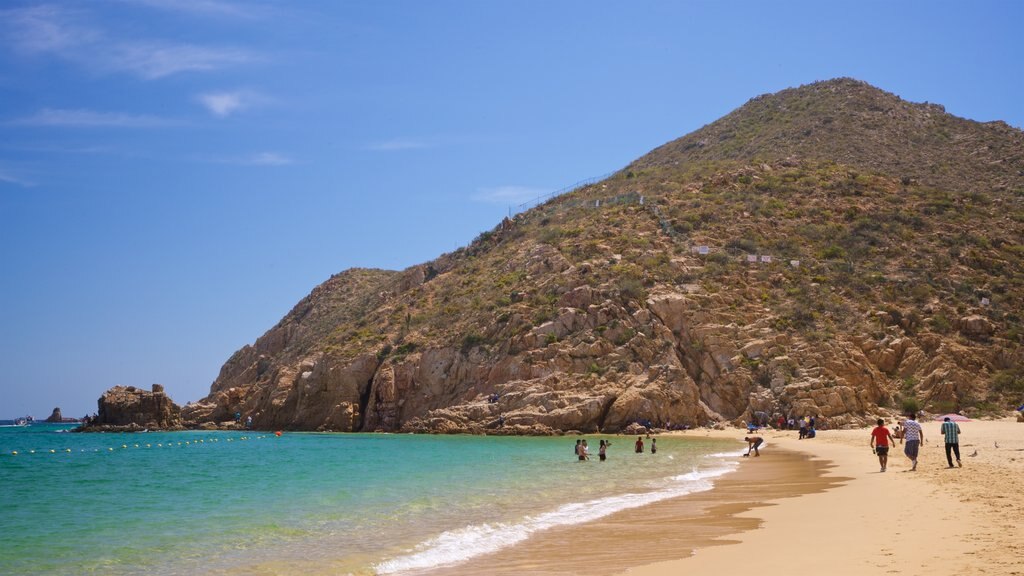 Playa de Cannery mostrando paisagens litorâneas, uma praia de areia e litoral rochoso